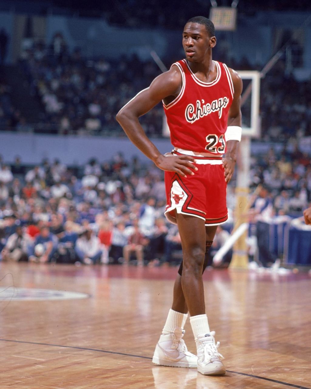 邊翼的羅賓 邊翼的羅賓